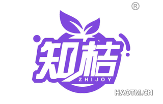 知桔 ZHIJOY