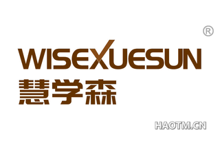 慧学森 WISEXUESUN