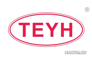  TEYH