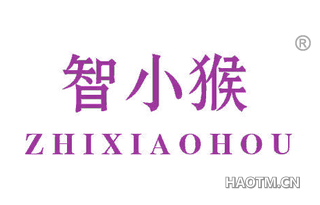 智小猴 