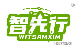 智先行 WITSAMXIM