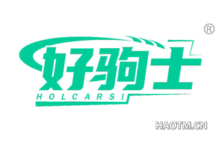 好驹士 HOLCARSI