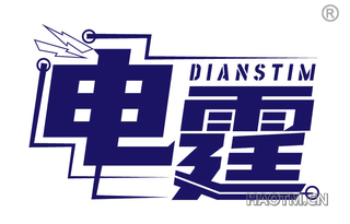 电霆 DIANSTIM