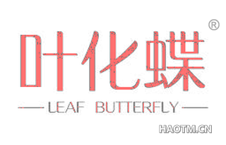 叶化蝶 LEAF BUTTERFLY