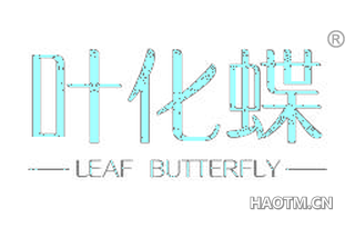 叶化蝶 LEAF BUTTERFLY