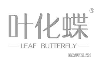 叶化蝶 LEAF BUTTERFLY