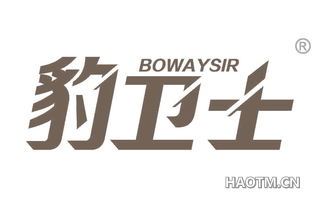 豹卫士 BOWAYSIR