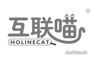 互联喵 HOLINECAT