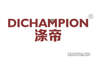 涤帝 DICHAMPION