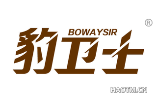 豹卫士 BOWAYSIR