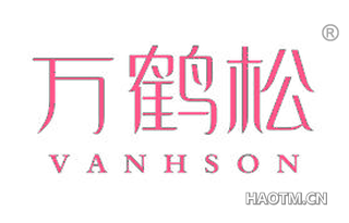 万鹤松 VANHSON