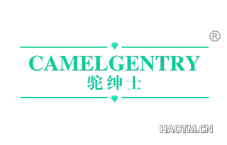 驼绅士 CAMELGENTRY