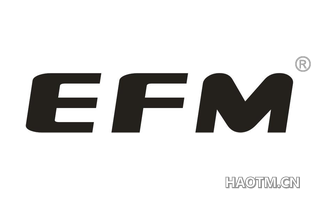  EFM