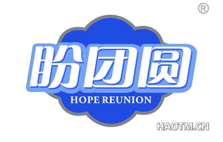 盼团圆 HOPE REUNION