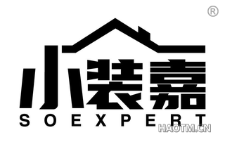 小装嘉 SOEXPERT