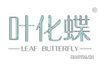 叶化蝶 LEAF BUTTERFLY