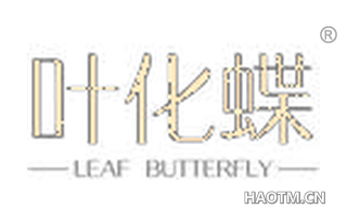 叶化蝶 LEAF BUTTERFLY