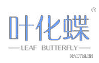 叶化蝶 LEAF BUTTERFLY