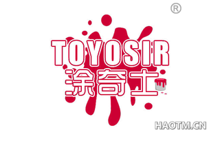 涂奇士 TOYOSIR