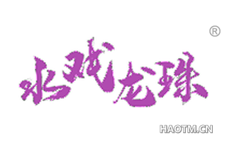 水戏龙珠 