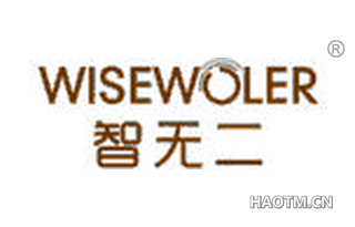 智无二 WISEWOLER