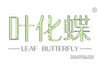 叶化蝶 LEAF BUTTERFLY