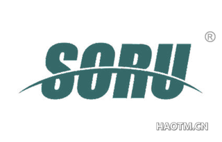 SORU