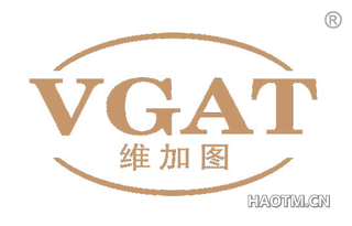 维加图 VGAT