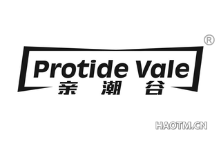 亲潮谷 PROTIDE VALE