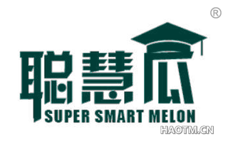 聪慧瓜 SUPER SMART MELON