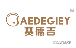 赛德吉 SAEDEGIEY