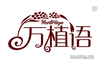 万植语 WANTREEYU