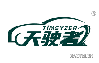 天驶者 TIMSYZER