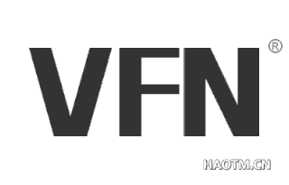  VFN