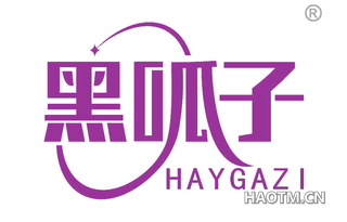 黑呱子 HAYGAZI