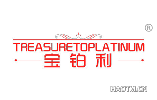 宝铂利 TREASURETOPLATINUM