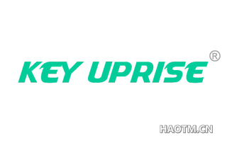  KEY UPRISE