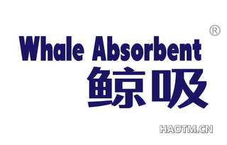 鲸吸 WHALE ABSORBENT