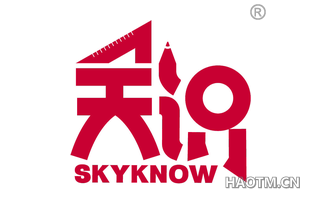 天识 SKYKNOW