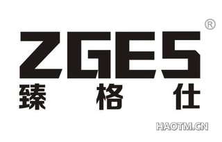 臻格仕 ZGES