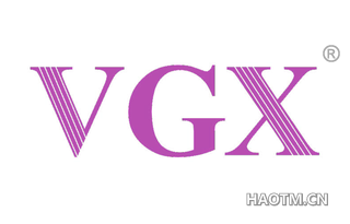  VGX