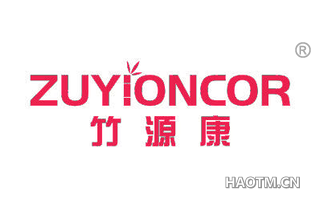 竹源康 ZUYIONCOR