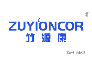 竹源康 ZUYIONCOR