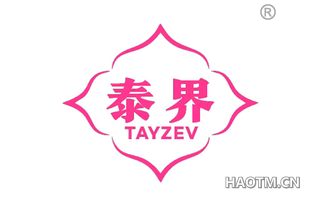 泰界 TAYZEV