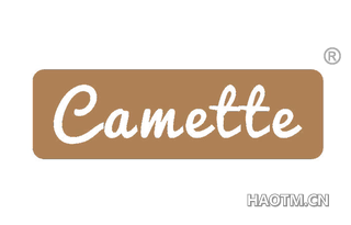 CAMETTE