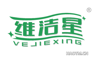 维洁星 VEJIEXING