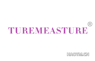 TUREMEASTURE