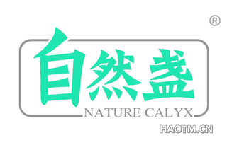自然盏 NATURE CALYX