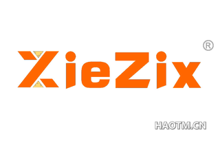  ZIEZIX