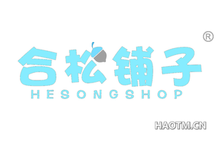 合松铺子 HESONGSHOP